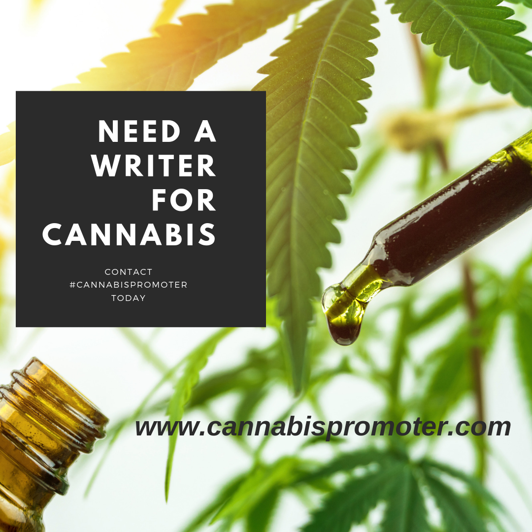 Need a cannabis writer