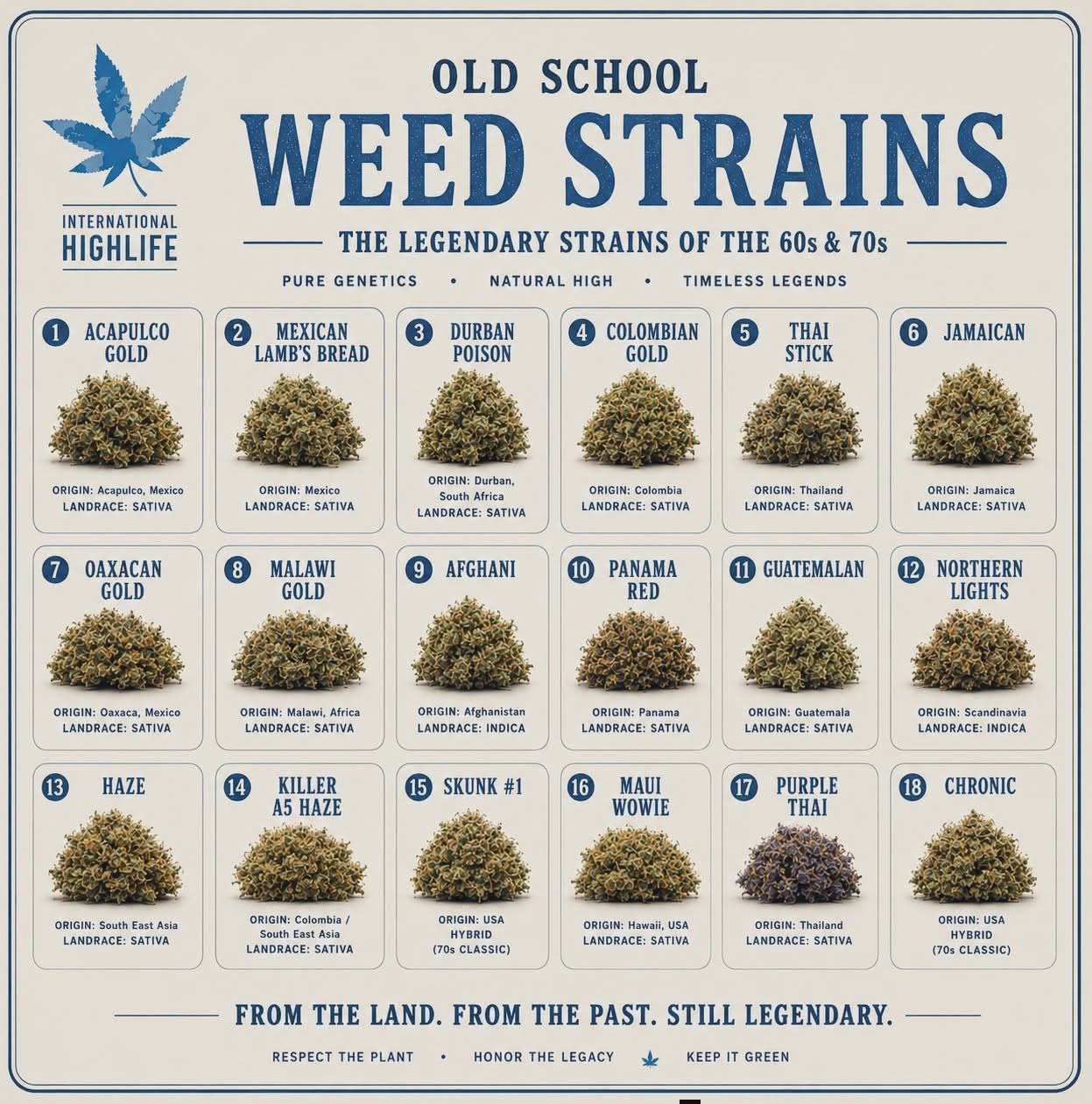 Classic Cannabis Strains